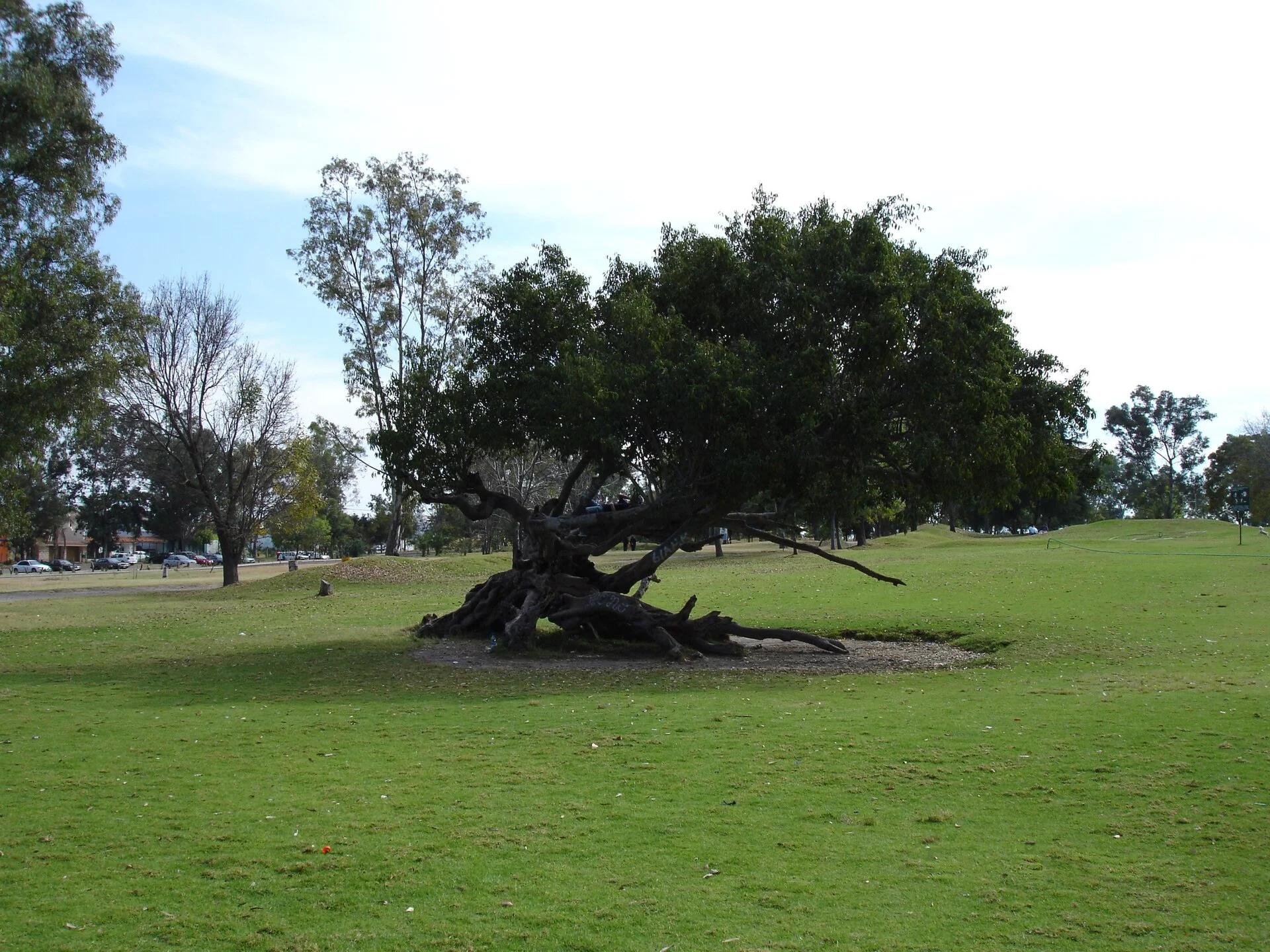 Áreas verdes del Parque Metropolitano. Fotografía de archivo.