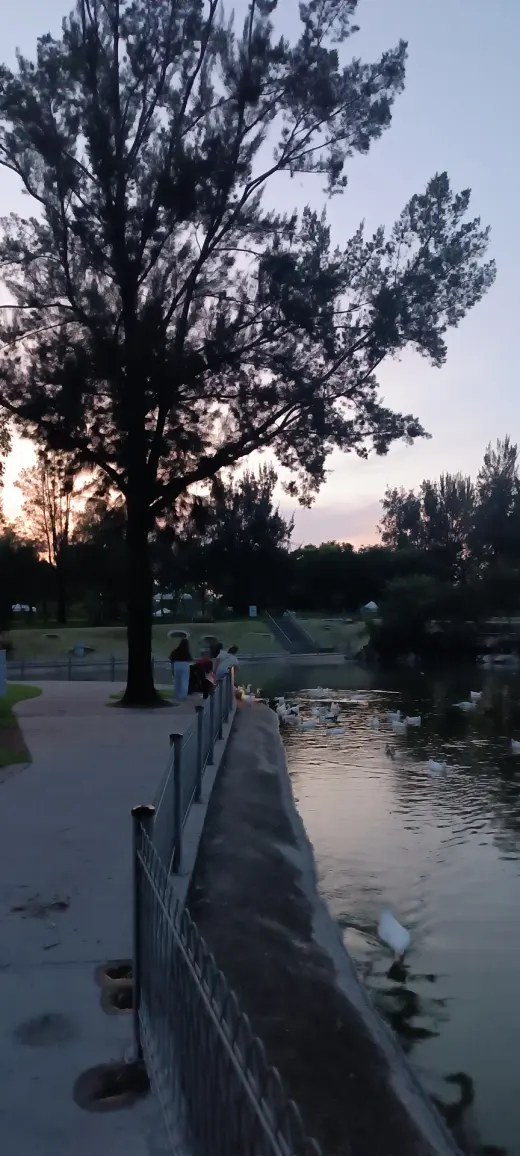 Estanque del Parque Metropolitano.