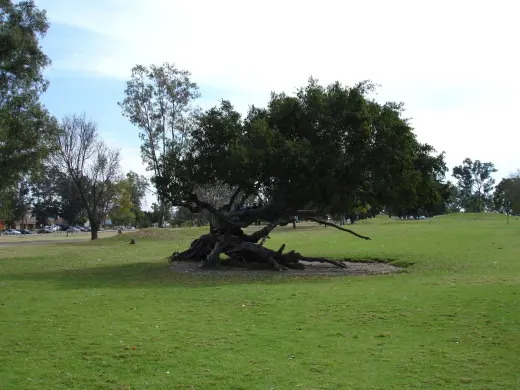 Áreas verdes del Parque Metropolitano. Fotografía de archivo.